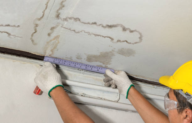 Reliable Mold Remediation contractor in Woodleaf, NC by Water Damage Irwin